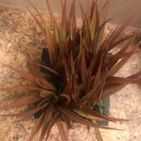 Modern fake plant - Picture 2 of 2